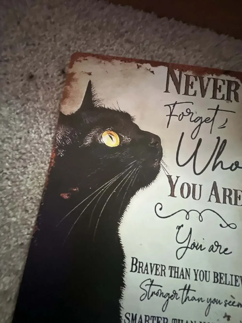 Never Forget Who You Are Black Cat Inspirational Quote Retro Metal Tin Sign